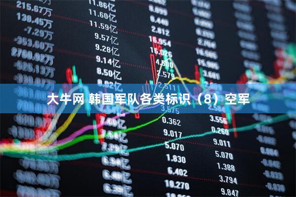 大牛网 韩国军队各类标识（8）空军