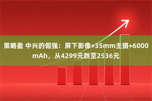 策略盈 中兴的倔强：屏下影像+35mm主摄+6000mAh，从4299元跌至2536元